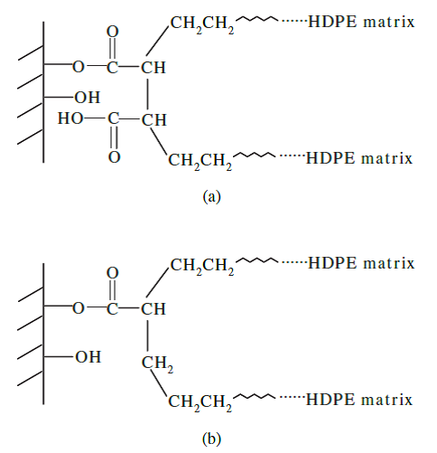مکانیزم های فرضیه ای بین ماتریس HDPE و آرد چوب با افزودن پلی اتیلن های عامل دار شده با عوامل اتصال دهنده: a) مالئات پلی پروپیلن و b) پلی اتیلن عامل دار شده با اکریلیک اسید