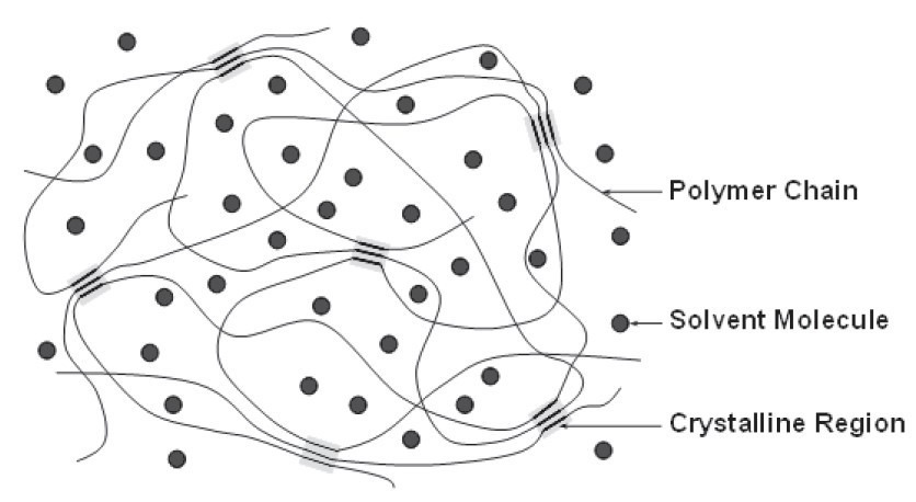 شماتیک ساختار شبکه متورم در یک رشته ژل