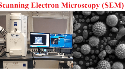 میکروسکوپ الکترونی روبشی (SEM)