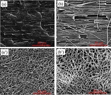 تصویرهای میکروسکوپی نمونه­ های پلیمری با درصدهای متفاوتی از پلی پروپیلن در پلی اتیلن ترفتالات