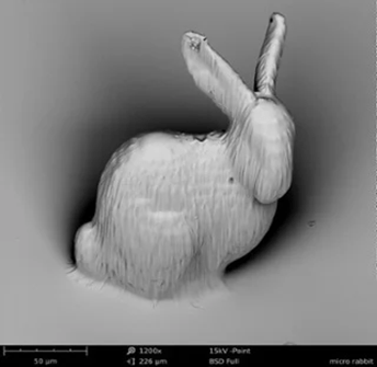 تصویر میکروسکوپی خرگوش، ساخته شده با چاپگر سه بعدی 